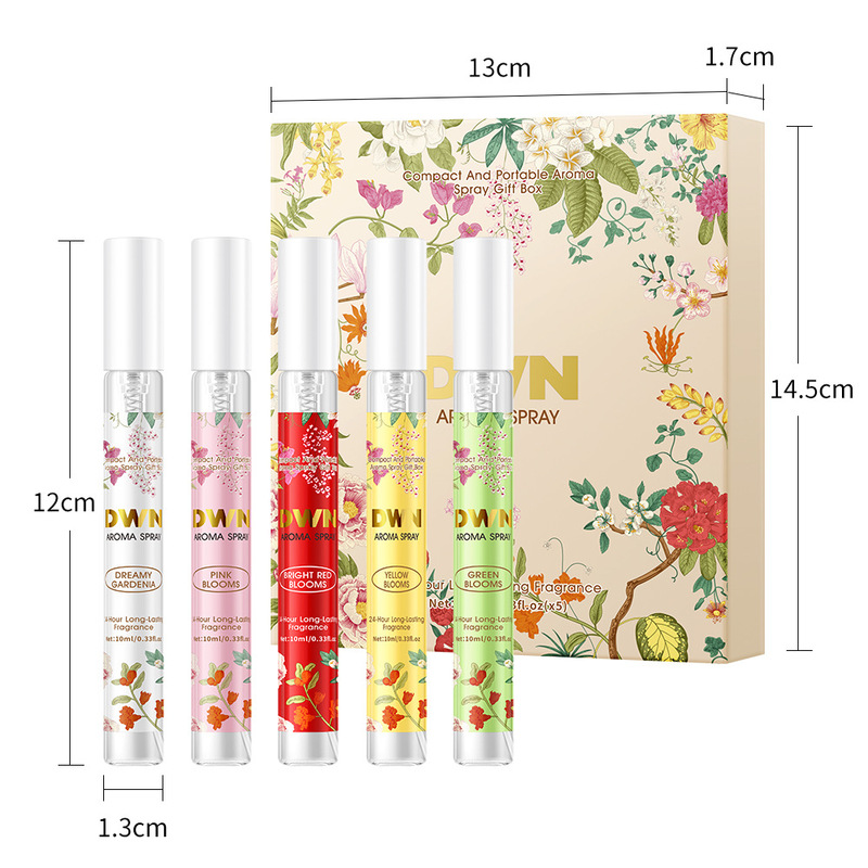 Household Indoor Mist Spray 5P - đánh giá và giá Storage